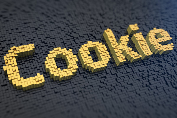 what_is_cookie_about