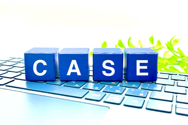 what-is-web-customer-service-case